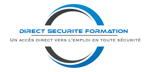 logo direct securite 1.png 1